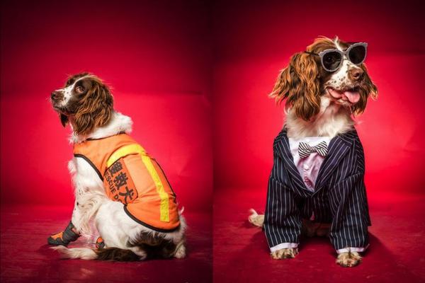 呕吐=美团姑娘怎么约，美团骑手如何进行预约(2024-12-07 21-0) 示例图 - 说明文字