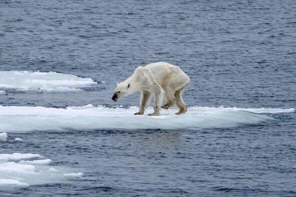 小舞奇遇记下拉漫画txt全集电子书免费下载奇猫趣事网 示例图 - 说明文字