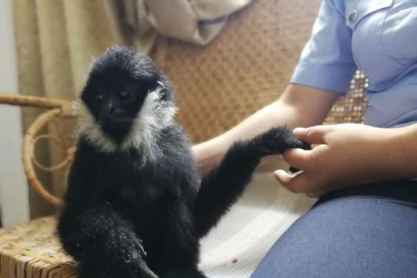 你下水好多下水道高清免费在线观看 示例图 - 说明文字