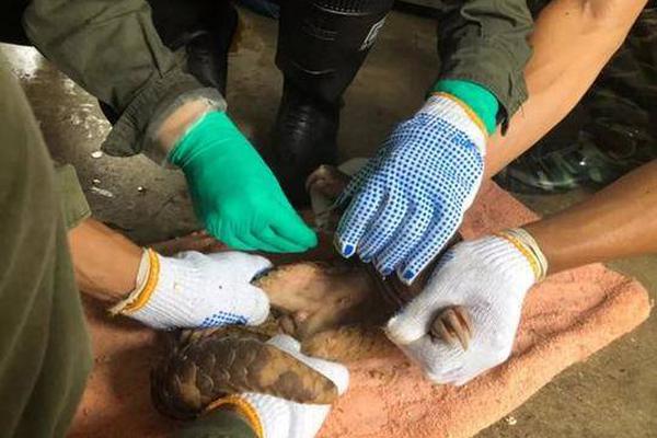 19岁韩国电影tc中字在线观看- 中航影视 示例图 - 说明文字