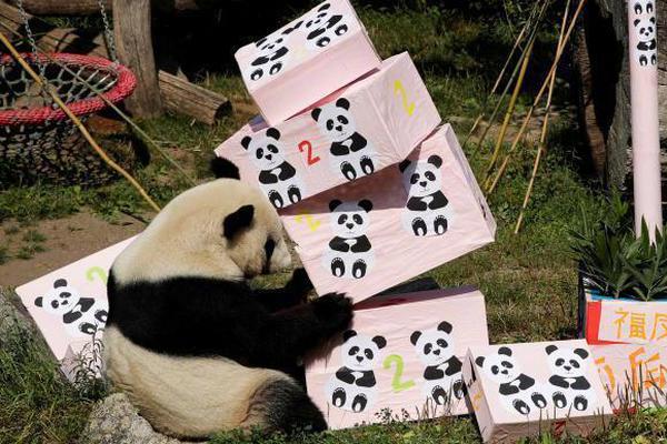 你下水好多下水道高清免费在线观看 示例图 - 说明文字