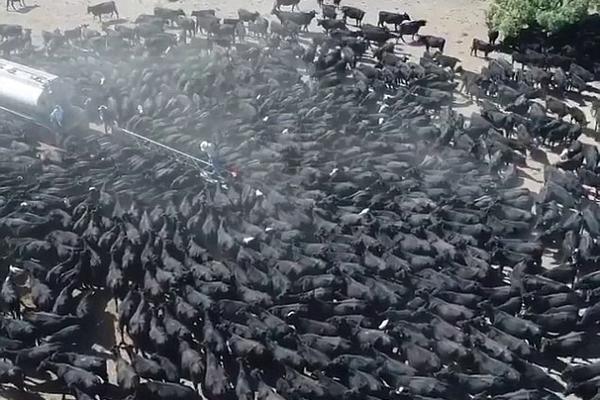 018期澳门彩报-3d图库 示例图 - 说明文字