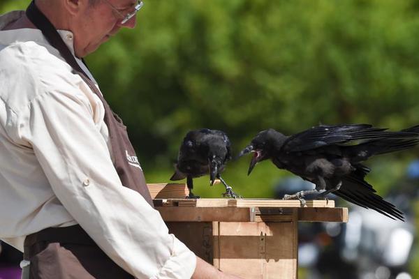 国产av电影精品区一二三区日韩av免费收看 示例图 - 说明文字