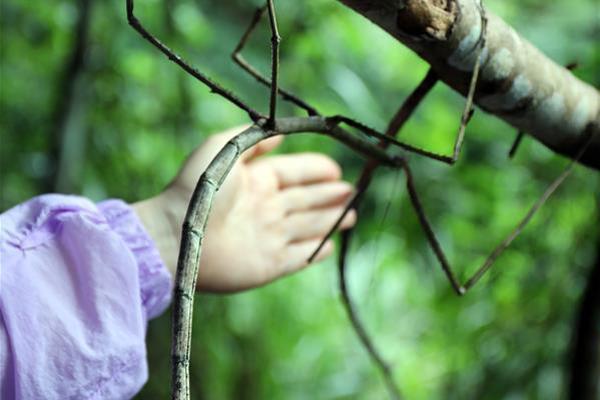 [ssis-899]山手梨惊艳演绎 仰天长啸美若天仙! 示例图 - 说明文字