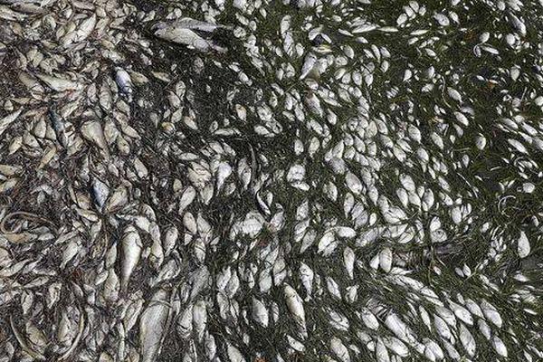 aaaa级片，最新aaaa大片，高清aaaavaaaaaa精品视频 示例图 - 说明文字