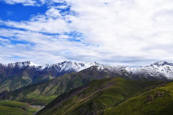 20cm长的棉签在晚上有什么用处 示例图 - 说明文字