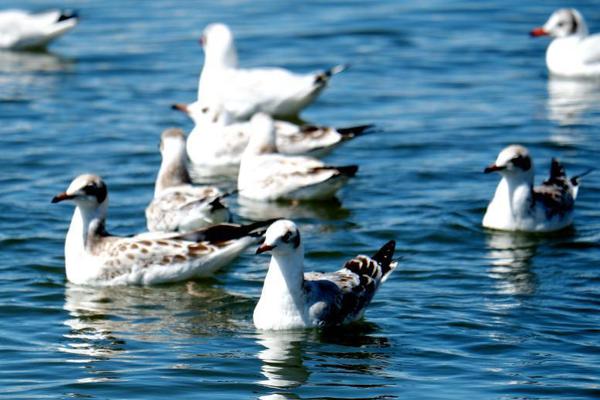 女警花闺房处女学习新技能准备晋升 示例图 - 说明文字