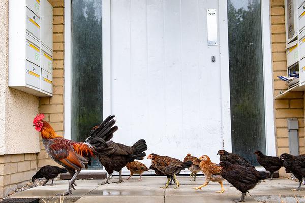 18游戏入口指南，全方位避免问题和风险 示例图 - 说明文字