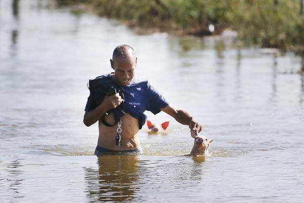 在铜器乐章中感受音乐魅力与舞蹈节奏-张家 示例图 - 说明文字