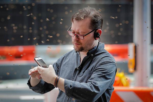 在铜器乐章中感受音乐魅力与舞蹈节奏-张家 示例图 - 说明文字