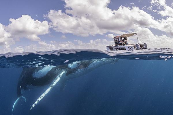 26uuu偷拍亚洲欧洲综合精彩镜头 示例图 - 说明文字