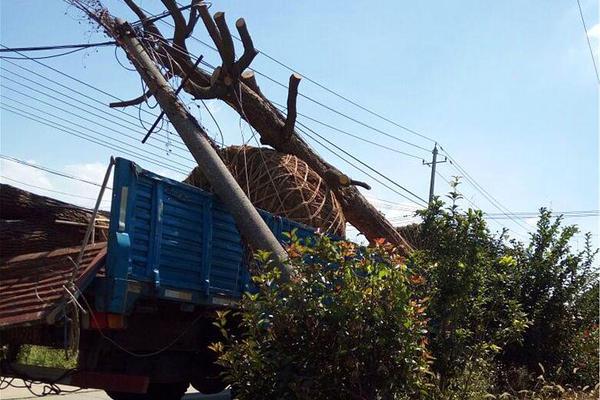 尽情在房间里玩耍游戏冷狐版下载-2021最新冷狐游戏下载链接 示例图 - 说明文字