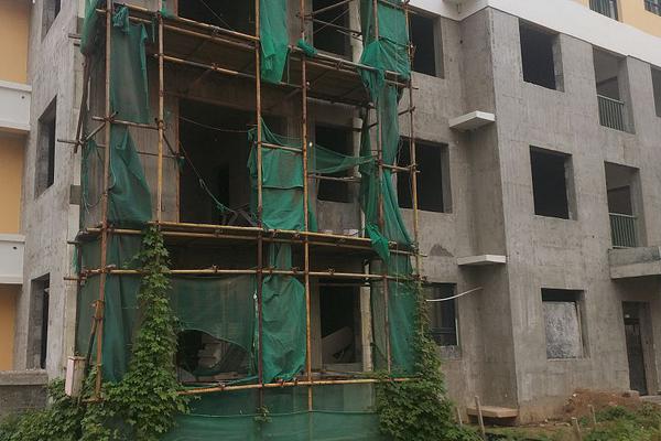 五情天综合基地揭秘幸福秘密 示例图 - 说明文字