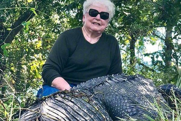 上半年全国社会物流总额1674万亿元，恢复稳定态势持续 示例图 - 说明文字