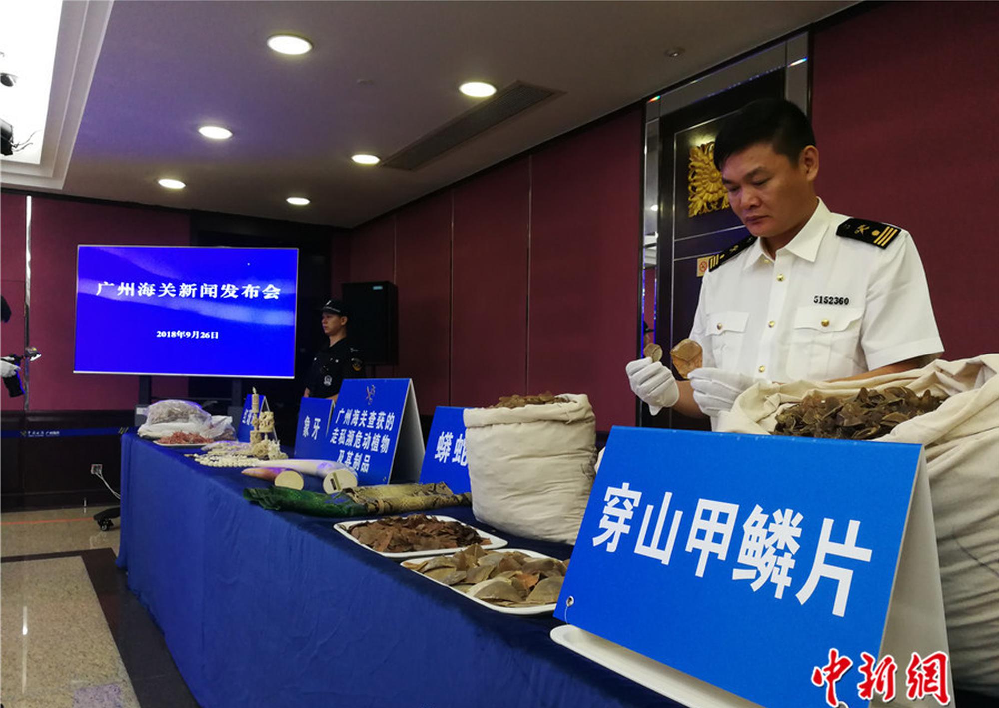 →→fulao2邮箱专业站长版v3314.6314.58585a_ 示例图 - 说明文字