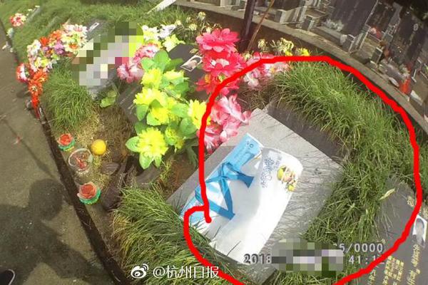 义妹生活免费在线观看-完整版-fhd日漫-新尚影院 示例图 - 说明文字