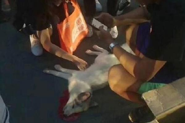 ...atri -my dear moments-手机版v 示例图 - 说明文字