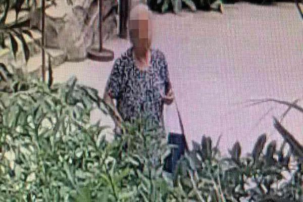 保罗芭芭拉1980年合作-斯顿手颠覆传统流行文化 示例图 - 说明文字