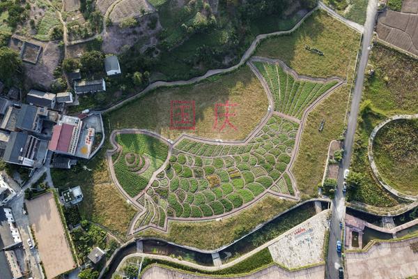 199麻豆up主吐槽盘点，内容绝，我刷了 示例图 - 说明文字