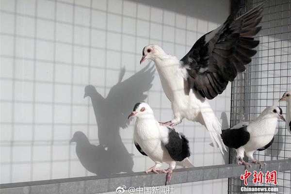 安全找到18游戏入口，避开常见问题和风险的指南 示例图 - 说明文字