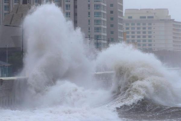 军情五处第四季全集免费在线观看-英国欧 示例图 - 说明文字