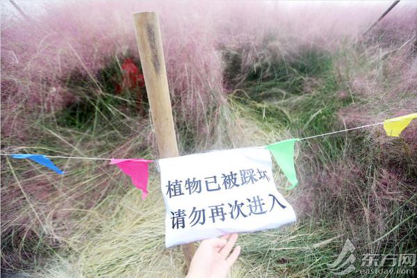 北野未奈hoa∨一101在线观看全集 示例图 - 说明文字