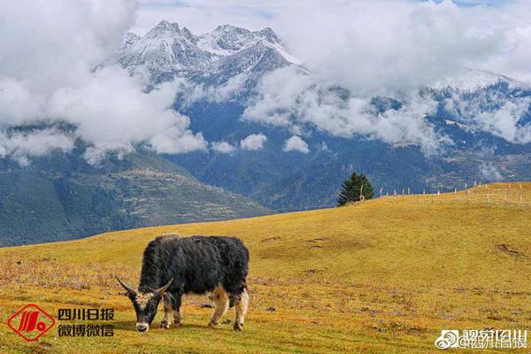 199麻豆up主吐槽盘点，内容绝，我刷了 示例图 - 说明文字