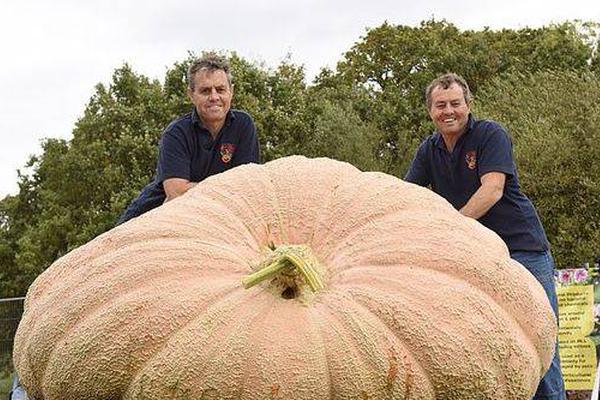 在五情天综合基地探寻幸福之秘 示例图 - 说明文字