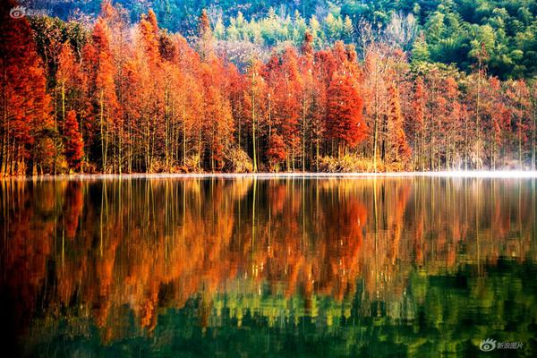 日韩精品人妻无码久久影院神马影院在线top在线播放堂电影网 示例图 - 说明文字