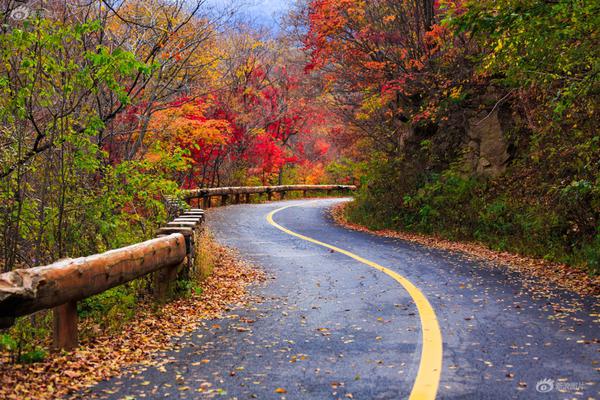 喜欢bl动画的你，来看这些车车动画推荐吧！bl的车车动画 示例图 - 说明文字