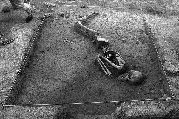 199麻豆up主吐槽盘点，内容绝，我刷了 示例图 - 说明文字