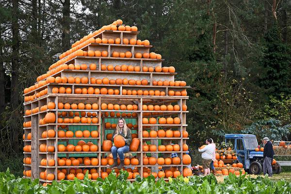 女警花闺房处女学习新技能准备晋升 示例图 - 说明文字