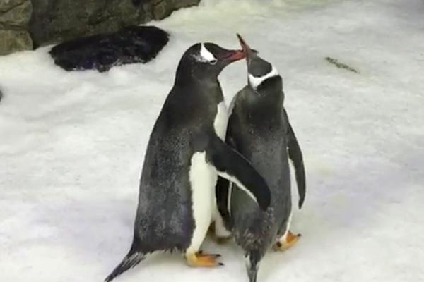 sone-359车牌号鹫尾芽衣升级k罩 示例图 - 说明文字