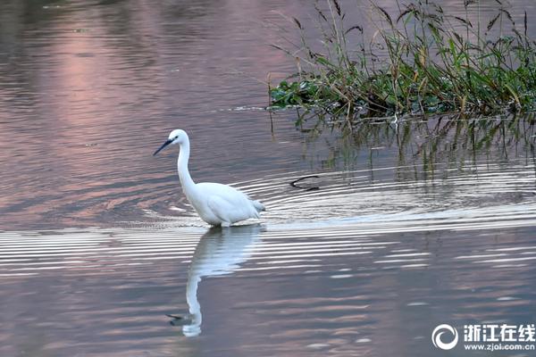 在铜器乐章中感受音乐魅力与舞蹈节奏-张家 示例图 - 说明文字