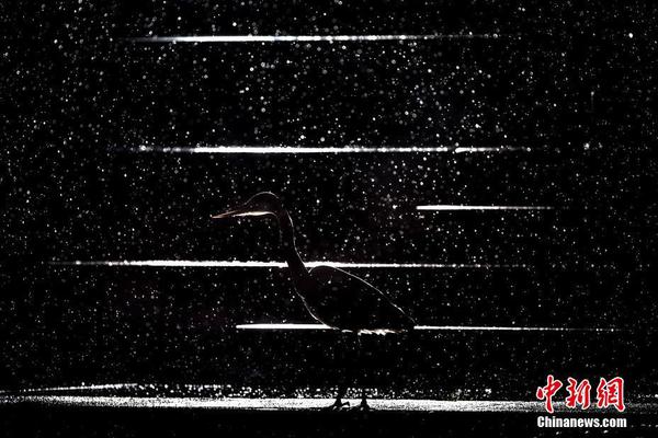 18游戏入口指南，全方位避免问题和风险 示例图 - 说明文字