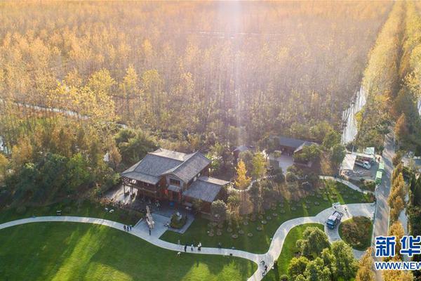 双女车车高清资源在线观看视 示例图 - 说明文字