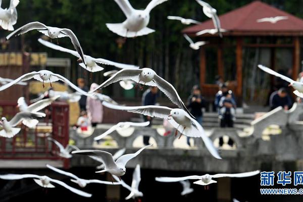 18游戏入口指南，全方位避免问题和风险 示例图 - 说明文字