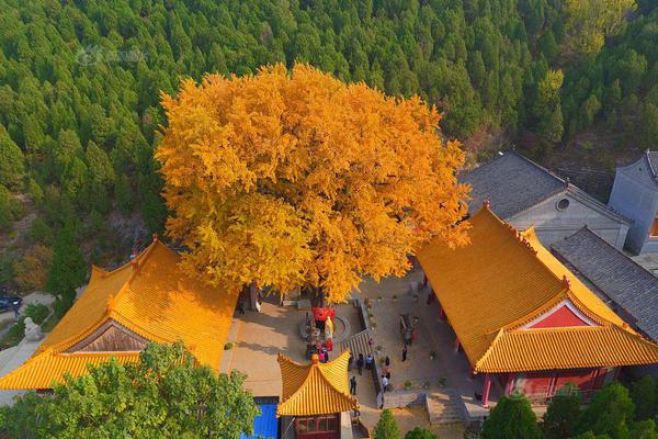 18游戏入口指南，全方位避免问题和风险 示例图 - 说明文字