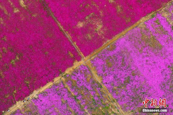 26uuu偷拍亚洲欧洲综合精彩镜头 示例图 - 说明文字