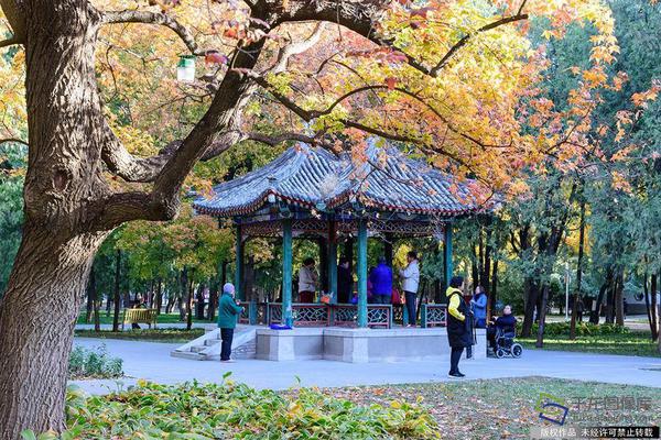 2024一元手游折扣专区，好玩小众游戏排行 示例图 - 说明文字