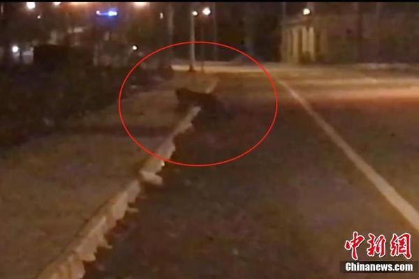 尽情在房间里玩耍游戏冷狐版下载-2021最新冷狐游戏下载链接 示例图 - 说明文字