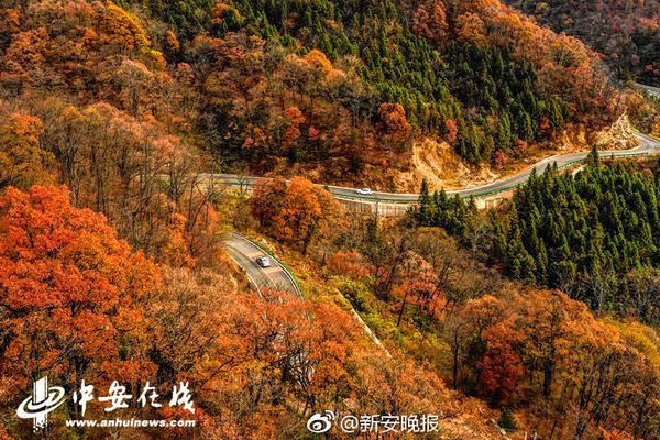 在铜器乐章中感受音乐魅力与舞蹈节奏-张家 示例图 - 说明文字