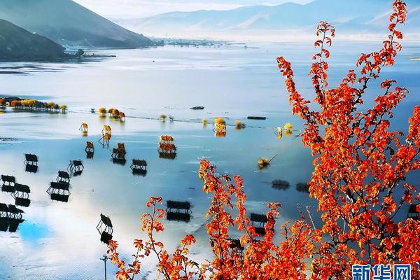 018期澳门彩报-3d图库 示例图 - 说明文字