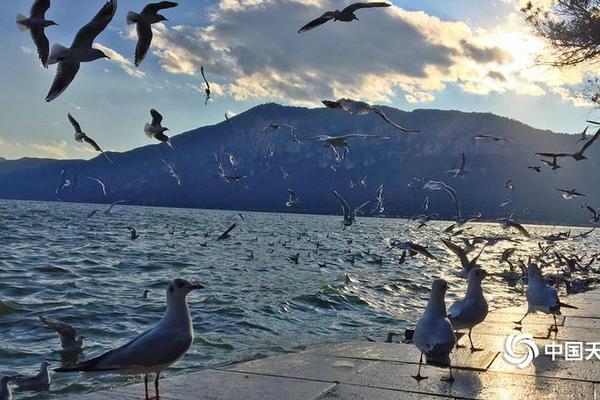 zoomservo兽-科技幻想未来生物 示例图 - 说明文字