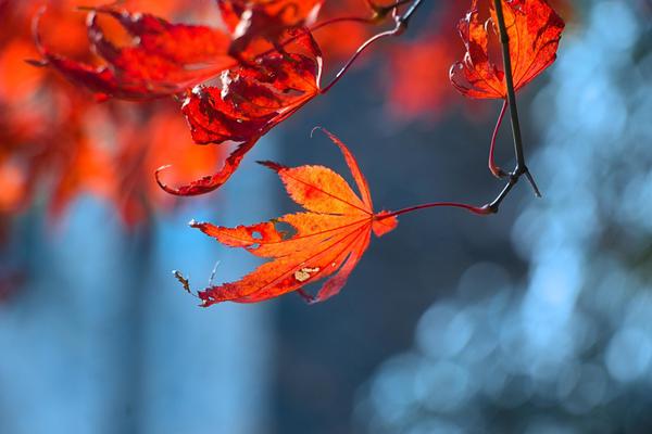 s货大声点c，懒烂你的b，电影高清在线观看 示例图 - 说明文字