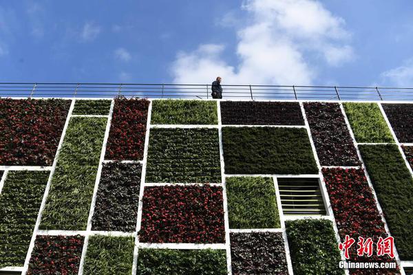 保罗芭芭拉1980年合作-斯顿手颠覆传统流行文化 示例图 - 说明文字