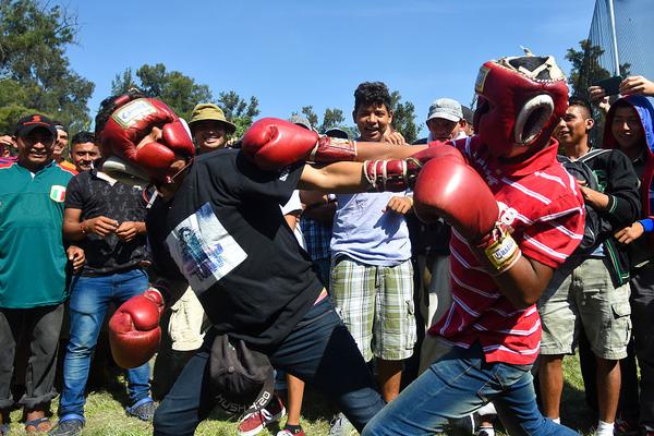 上位勾引h师生出轨兔子爱吃草新章节-上位勾引 示例图 - 说明文字