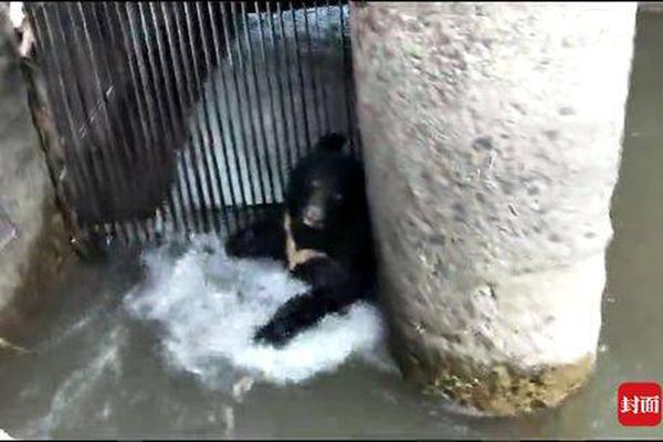 女警花闺房处女学习新技能准备晋升 示例图 - 说明文字