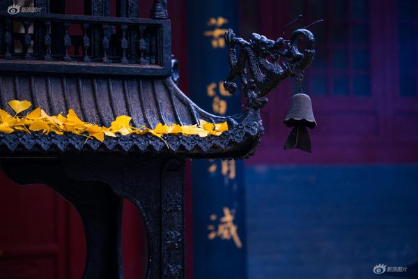 2024年管家婆100%中奖安全设计说明法 示例图 - 说明文字