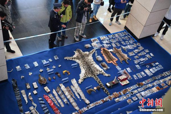 保罗芭芭拉1980年合作-斯顿手颠覆传统流行文化 示例图 - 说明文字